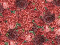 Réf.TO17 / 70 x 50 cm / Roses rouges / 3 disponibles /  3,80 €