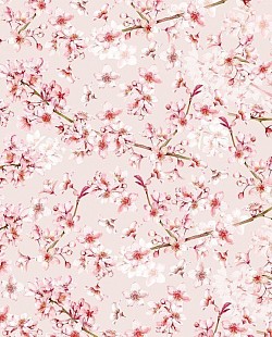Réf.POO3 / 70 x 50 cm /  Cerisiers japonais en fleurs / 5 disponibles /  3,80 €