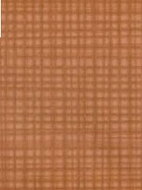 SKIVERTEX VICHY BRONZE