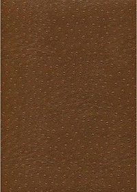SIMILI CUIR PEAU D' AUTRUCHE