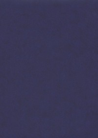 SIMILI CUIR VIOLET