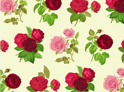 Réf.TO40 / 70 x 50 cm / Roses de Redouté / 1 disponible /  1,00 €