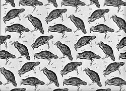 Réf.SUPM / CORBEAU NOIR  / 70 x 50 cm / IVOIRE / 8 disponibles / PRIX :  2,70 €
