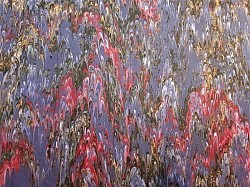 Réf.2513 / Marbré à la Cuve sur Ingres Vergé / 65 x 50 cm / 14 disponibles /  4,50 €