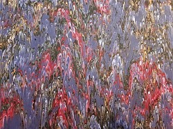Réf.2513 / Marbré à la Cuve sur Ingres Vergé / 65 x 50 cm / 12 disponibles / 4,00 €