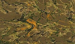 +Réf.12902 / Marbré à la Cuve sur Ingres Vergé / 65 x 50 cm / X R / 7 disponibles /  4,50 €