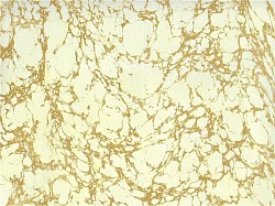 Réf. 12163 / Marbré à la Cuve sur Ingres Vergé / 65 x 50 cm / 8 disponibles /  2,60 €