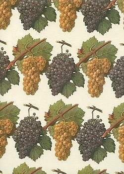 Réf.TOO6 /70 x 50 cm / La vigne & Le vin / 10 disponibles /  2,80 €