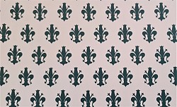 Ref. VAR 69 / VARESE 120 gr / 50 x 69 CM / VERT / 5 disponibles / 3,50 €