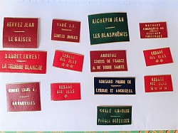 TRAVAUX SUR GUAFLEX