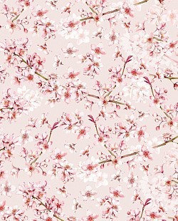Réf.POO3 / 70 x 50 cm /  Cerisiers japonais en fleurs / 2 disponibles /  3,80 €