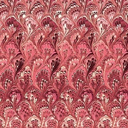 Réf.POO4 / 70 x 50 cm /  Queues de paon / Rouge / 8 disponibles /  3,80 €