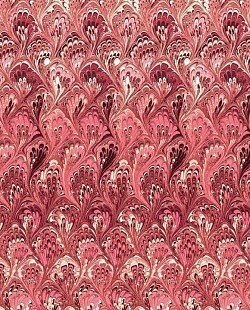 Réf.POO4 / 70 x 50 cm /  Queues de paon / Rouge / 3 disponibles /  3,80 €