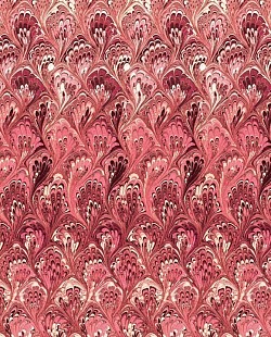 Réf.POO4 / 70 x 50 cm /  Queues de paon / Rouge / 3 disponibles /  1,80 €