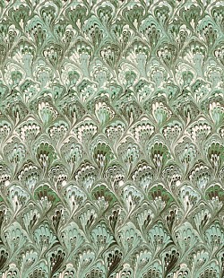 Réf.POO5 / 70 x 50 cm /  Queues de paon / Vert / 10 disponibles /  3,60 €