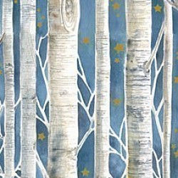Réf.PO26 / 70 x 50 cm /  Forêt de Bouleaux / 10 disponibles /  3,60 €