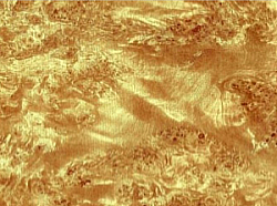 Réf.TO70 / 70 x 50 cm / Marbré Pierre / Glacé / Beige / 5 disponibles / 1,00 €