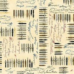 Réf.PO38 / ECRITURE / PLUMES  / 70 x 50 cm / 10 disponibles / 3,80 €