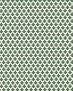 Réf.PO48 / FLEURS DE LYS VERT  / 70 x 50 cm / 8 disponibles / 1,00 €