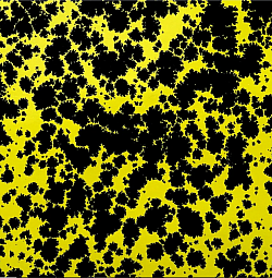 Réf.H248 / Papier Glacé 