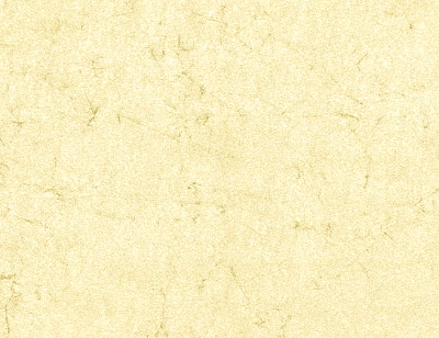 Papier peau d' éléphant