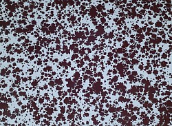 NOUVEAU / Réf.H250 / Papier Glacé 