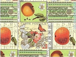 Réf.POO3 / 70 x 50 cm /  POMMES & Poudre d' or / 19 disponibles /  1,00 €