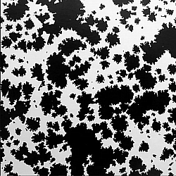 Réf.H242 / Papier Glacé 