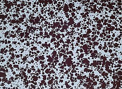 Réf.H250 / Papier Glacé 