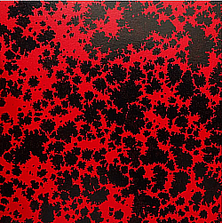 Réf.H245 / Papier Glacé 