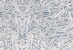 Réf.P087 / Bleu sur fond blanc / 34 x 50 cm / 2 disponibles / 0,50 €