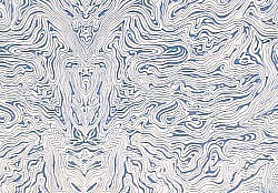 Réf.P087 / Bleu sur fond blanc / 34 x 50 cm / 2 disponibles / 0,50 €