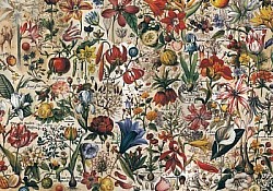 Réf.B049 / HONGROIS / Botanique / 50 x 70 cm / 120 Gr /  4 disponibles / 3,70 €