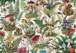 Réf.B059 / HONGROIS / Champignons / 50 x 70 cm / 120 Gr / 3 disponibles / 3,70 €