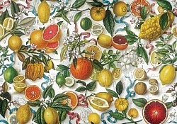 Réf.B065 / HONGROIS / Fruits / 50 x 70 cm / 120 Gr / 6 disponibles / 3,70 €