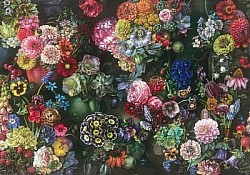 Réf.B064 / HONGROIS / Dahlias Nature morte / 50 x 70 cm / 120 Gr / 4 disponibles / 3,70 €