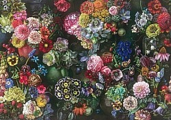 Réf.B064 / HONGROIS / Dahlias Nature morte / 50 x 70 cm / 120 Gr / 3 disponibles / 3,70 €