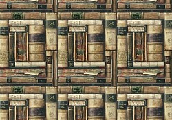 Réf.B061 / HONGROIS / Bibliothèque / 50 x 70 cm / 120 Gr / 3 disponibles / 3,70 €