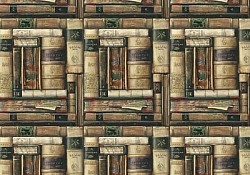 Réf.B061 / HONGROIS / Bibliothèque / 50 x 70 cm / 120 Gr / 1 disponible / 3,70 €
