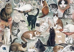 Réf.B052 / HONGROIS / LES CHATS  / 50 x 70 cm / 120 Gr / 1 disponible / 3,70 €