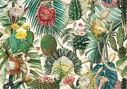 Réf.B0'' / HONGROIS / Arizona dreams 