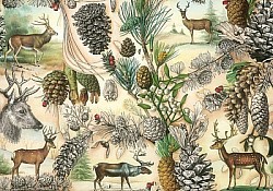 Réf.B018 / HONGROIS / Cerfs en forêt / 50 x 70 cm / 120 Gr / 6 disponibles / 3,70 €