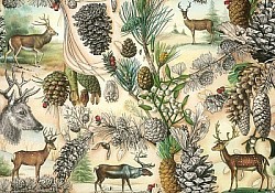 Réf.B018 / HONGROIS / Cerfs en forêt / 50 x 70 cm / 120 Gr / 4 disponibles / 3,70 €