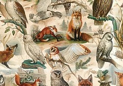 Réf.B019 / HONGROIS / Animaux de la forêt / 50 x 70 cm / 120 Gr / 3 disponibles / 3,70 €