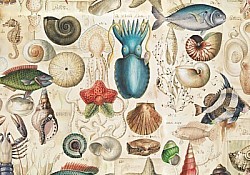 Réf.B028 / HONGROIS / FAUNE MARINE / 50 x 70 cm / 120 Gr / 1 disponible / 3,70 €