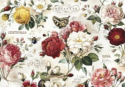 Réf.B035 / HONGROIS / ROSES / 50 x 70 cm / 120 Gr / 9 disponibles / 3,70 €