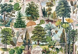 Réf.B039 / HONGROIS / ARBRES DE LA FORÊT / 50 x 70 cm / 120 Gr / 5 disponibles / 3,70 €