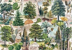 Réf.B039 / HONGROIS / ARBRES DE LA FORÊT / 50 x 70 cm / 120 Gr / 4 disponibles / 3,70 €