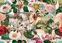 Réf.B043 / HONGROIS / FLEURS DE LOTUS / 50 x 70 cm / 120 Gr / 12 disponibles / 3,70 €
